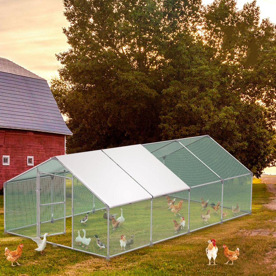 Kippenhok – Kippenren – Pluimveehok – Dierenverblijf – Kippenkooi – Gegalvaniseerd Stalen Frame – Inclusief Veiligheidsdeur met Slot – Afmeting 3x4x2 m