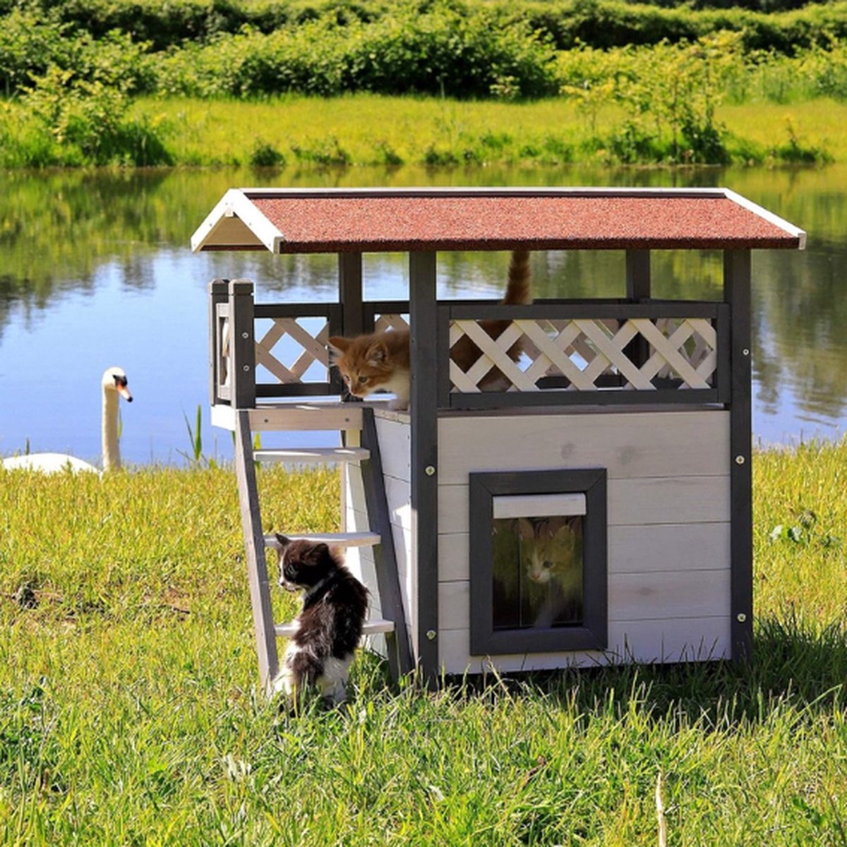 Kattenren - Kattenhuis - Kattenverblijf buiten - Grijs - Kattenhuis voor buiten - Kattenhuisje buiten - Kattenhok buiten