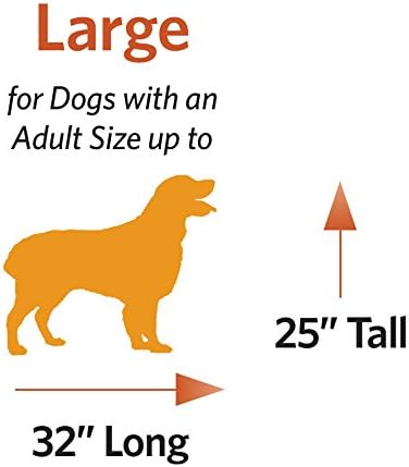 Midwest Homes for Pets Large Ovation Double Door 42-inch Folding Metal Dog Crate, Front and Up & Away Side Doors, Space-Saving Design