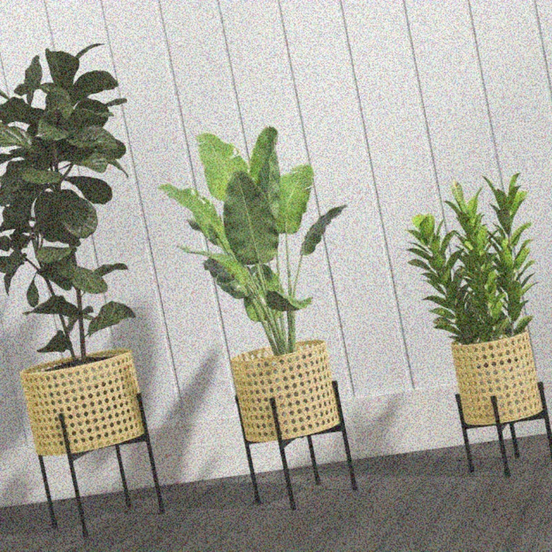 Plantenhouder – Plantenstandaard – Plantenrek – Plantenhouder 3 Niveaus – Gouden Kleur – Ruimtebesparend Ontwerp – Lichtgewicht