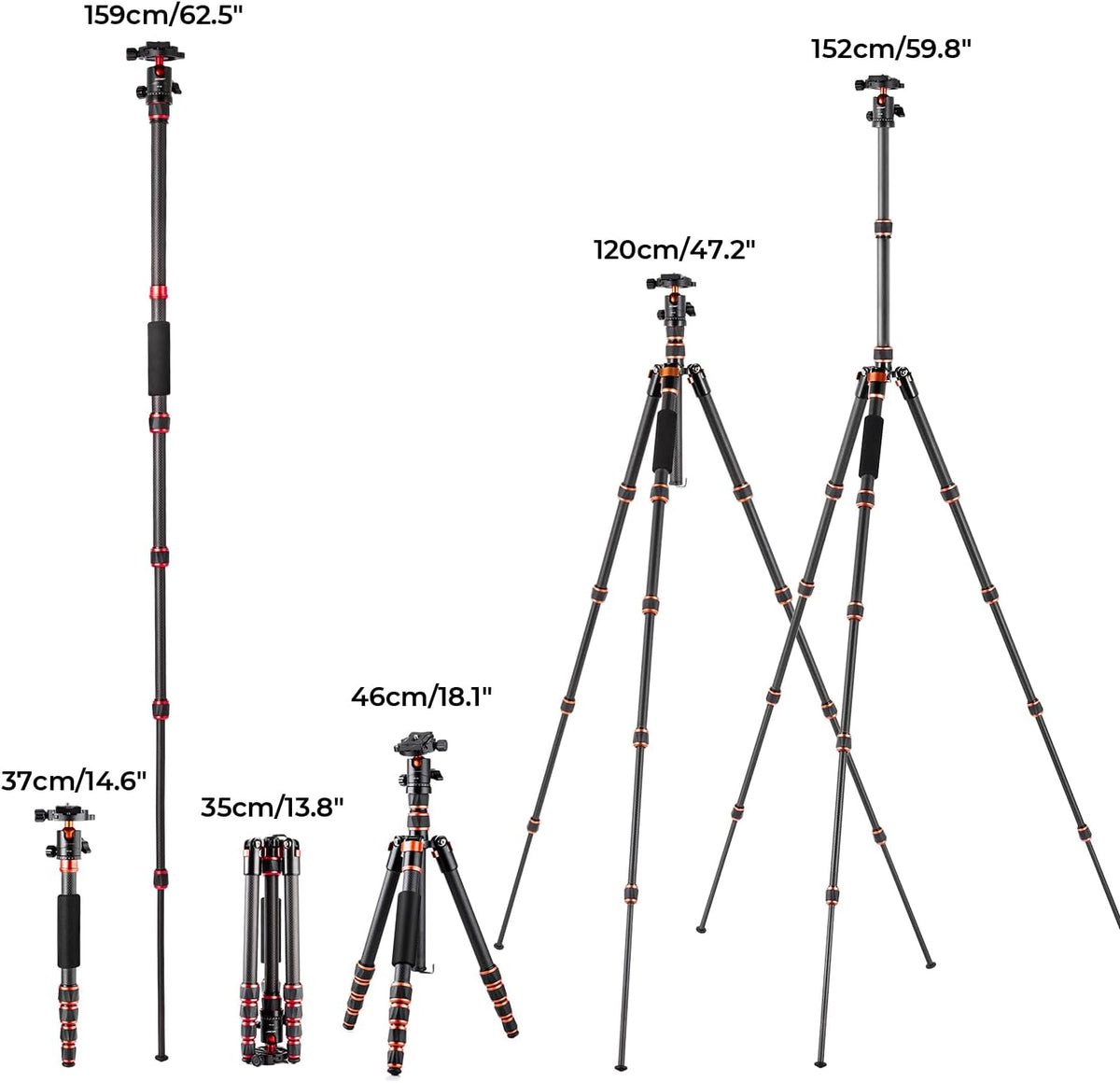 K&F Concept Camera Statief,Lichtgewicht Carbon Reisstatief, Compacte Fotografie Statief met Monopod, 360° Balhoofd en Vrijgaveplaat voor DSLR Camera voor DSLR-camera C225C0+BH-25 (BA225)