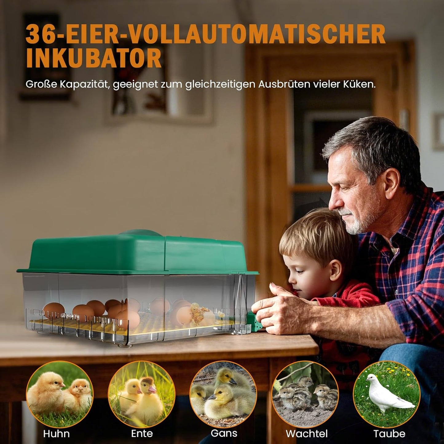 Broedmachine, volautomatisch, 36 eieren, incubator met 5 automatische broedmodi, broedmachine met temperatuurregeling, vochtweergave en eierverlichting, voor kippen, eenden, ganzen en