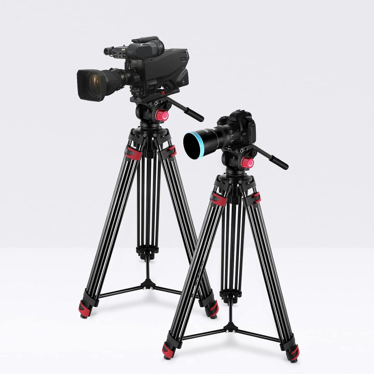 NEEWER 79"/200cm Video Statief, Heavy Duty Aluminium Camera Statief Stand met 360° Fluid Drag Head, QR Plaat Compatibel met Canon Nikon Sony en andere DSLR Camera Camcorder, Belasting tot 17,6lb/8kg