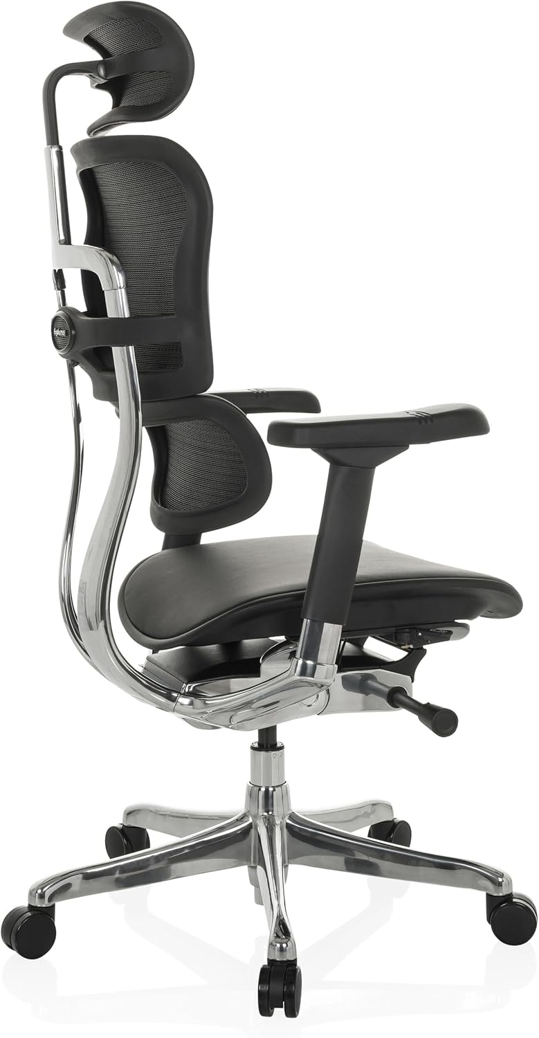 hjh OFFICE Ergonomische Ergohuman Gen2 Bureaustoel, ergonomisch design, bureaustoel met flexibele lendensteun, gevoerde zitting, zwart leer