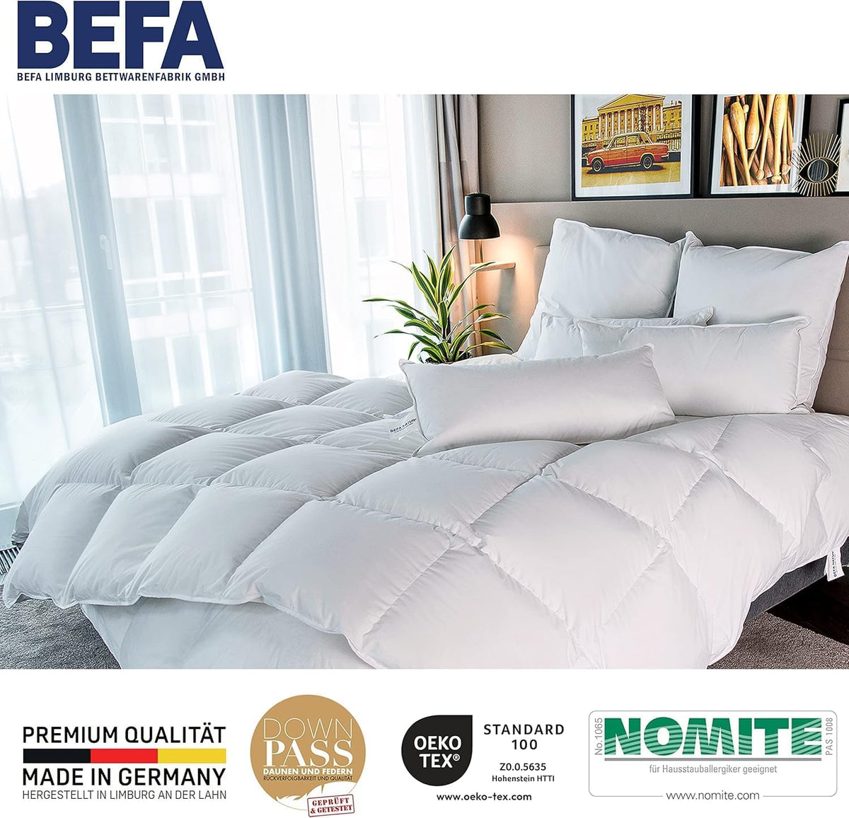 BEFA NATUR Donzen dekbed 160 x 210 cm (1, Vierseizoensdekbed, 240x220 cm)