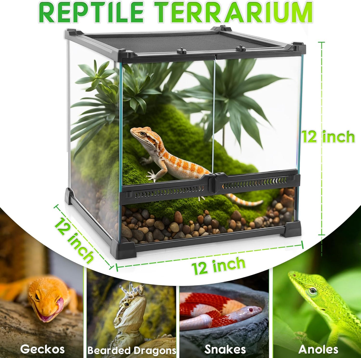 Mini Reptiel Glas Terrarium 12"x12"x12" Duurzame Reptielen Habitat Tank met Hittebestendig Aluminium Frame Dubbele Draaiende Deuren zonder Jam door Zand en Andere Puin