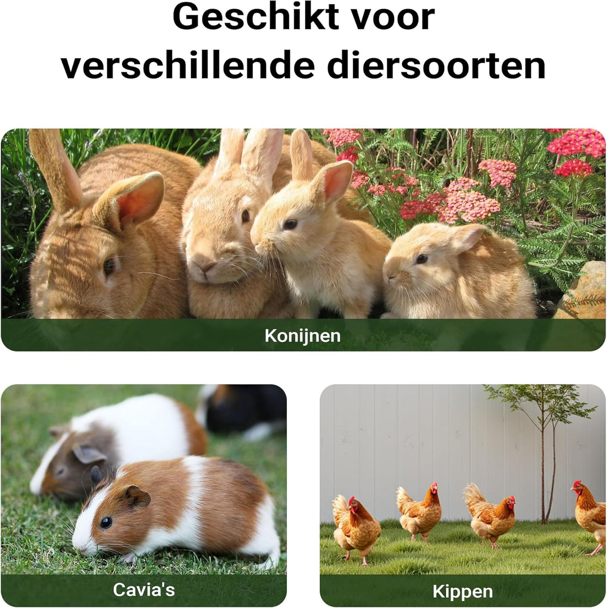 XXL konijnenhok hazenstal vrije loopruimte verhoogde schuilplaats vurenhout met dak stal