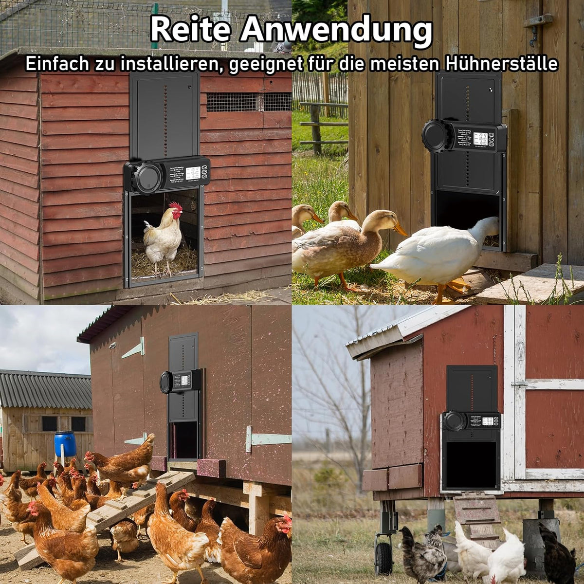 Aluminium automatische kippenklep, batterij, elektrische kippenklep met waterdicht, groot display, timer, handmatig, automatische kippendeur, intelligente klembeveiliging