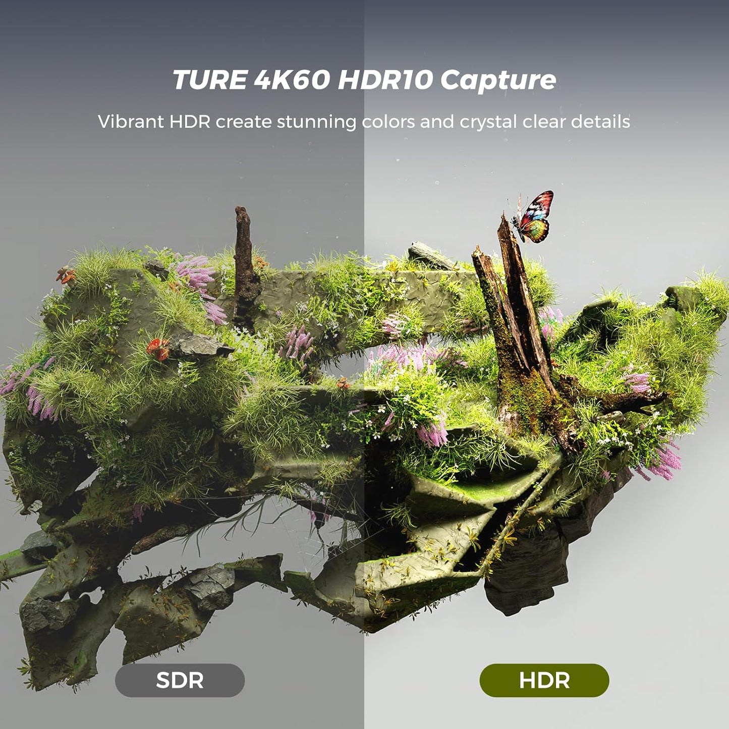 NearStream 4K60 HDR10 Capture Card met HDMI Pass-Thru, USB3.1 Video Capture Card voor streaming, opnemen in 4K 60FPS met ultra-low latency op PS5/Xbox/Switch in OBS, YouTube werkt met pc/Mac
