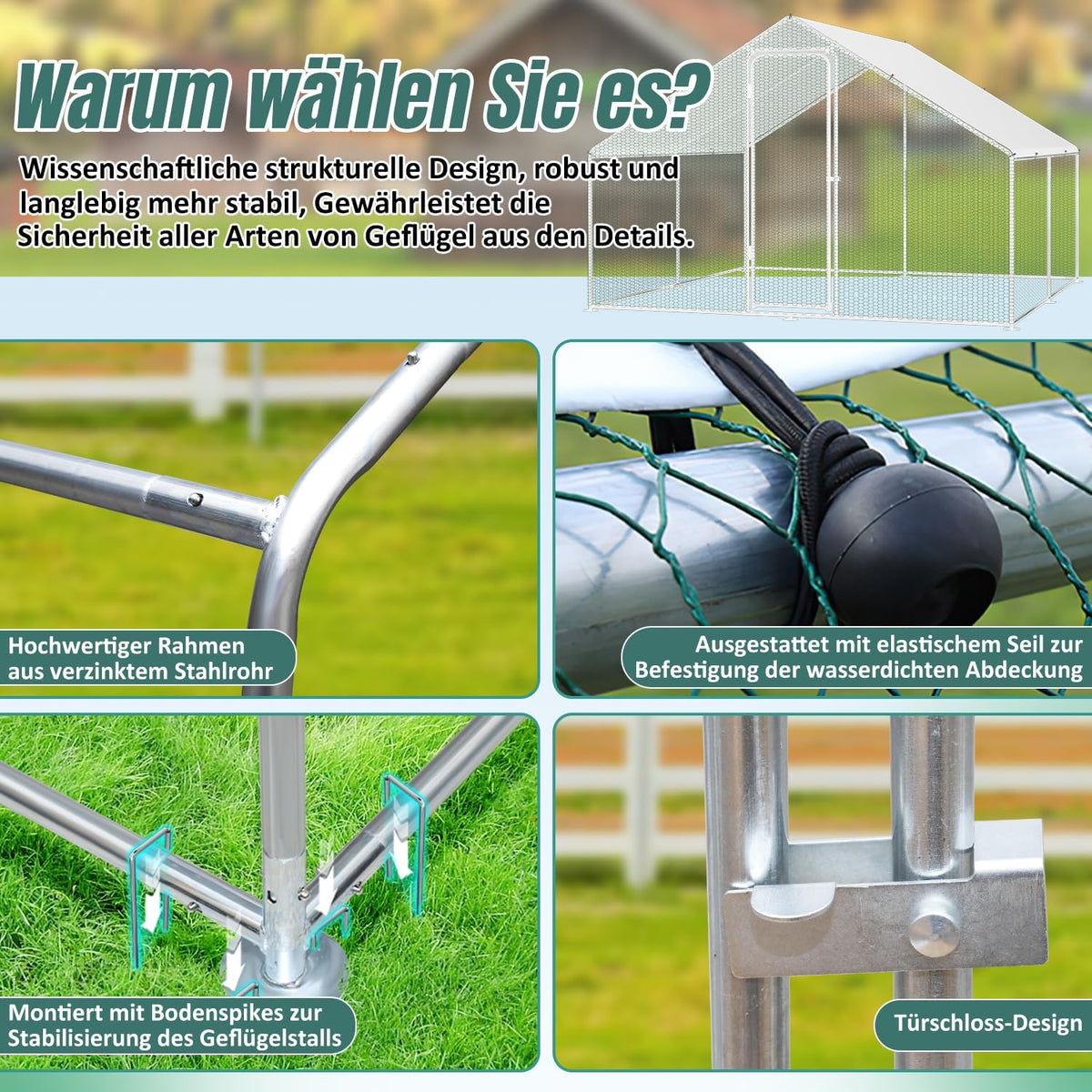 Kippenhok XL – Buitenren – Gevogelthek – Dierenren – Volière – Verzinkt Stalen Frame – 3x2x2 Meter Met Afsluitbare Deur