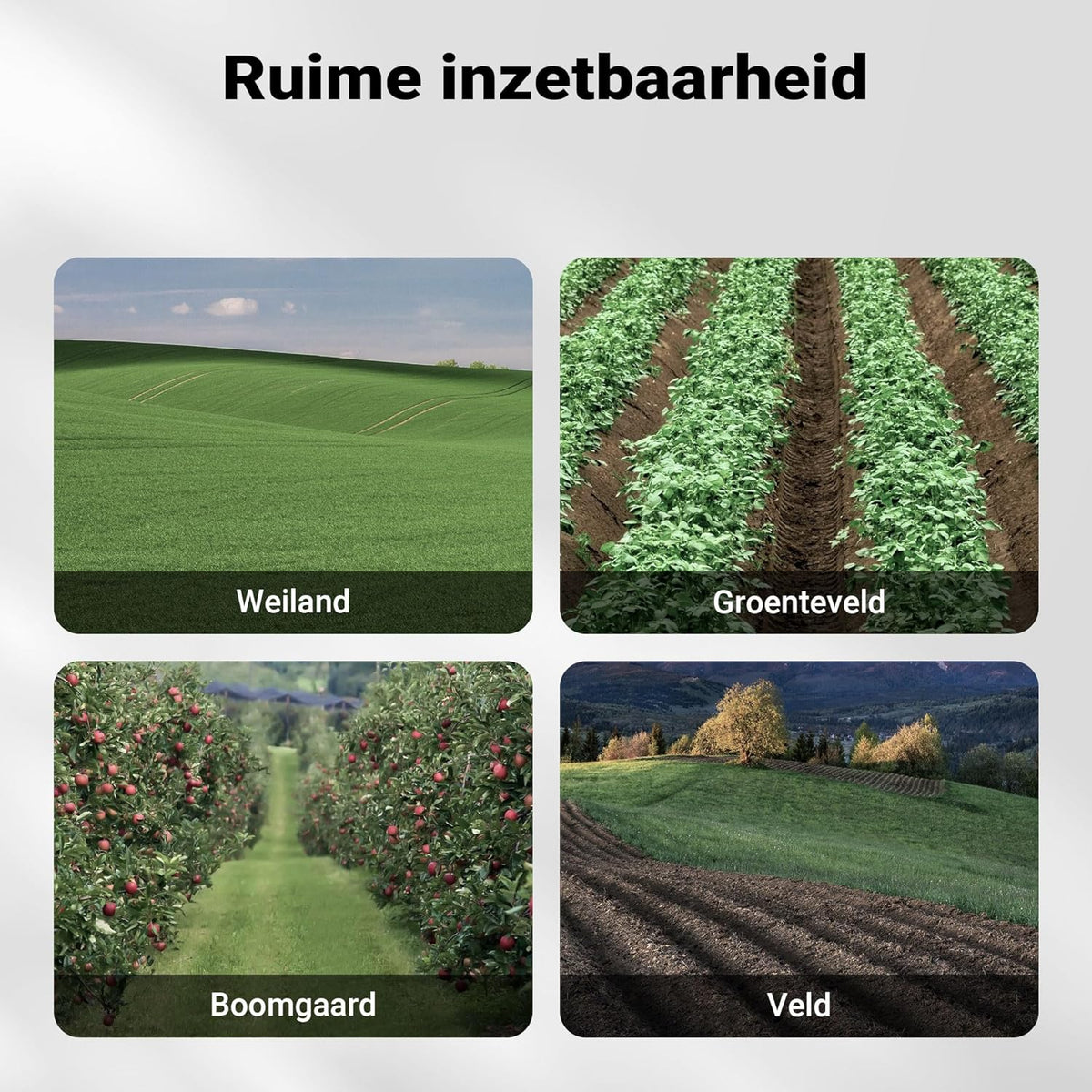Wiltec tuinfrees benzine werkbreedte van 60 cm, grondfreesmachine motor 144 ccm en 6 messen, cultivator met brandstofaandrijving Euro 5, robuuste grondfrees voor tuinwerk