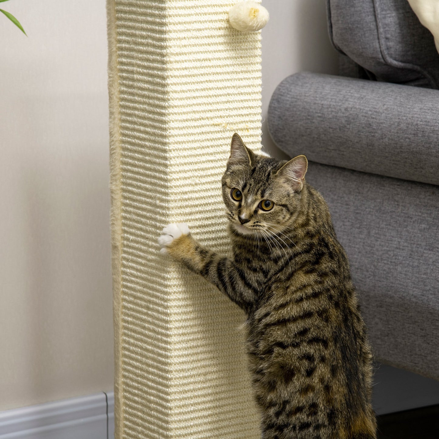 Krabpaal – Krabmeubel – Krabpaal Kat – Krabton – Krabpaal Sisal – Eikenhoutkleur & Crème Wit – Compact 38x38x80 cm – Inclusief Speeltje