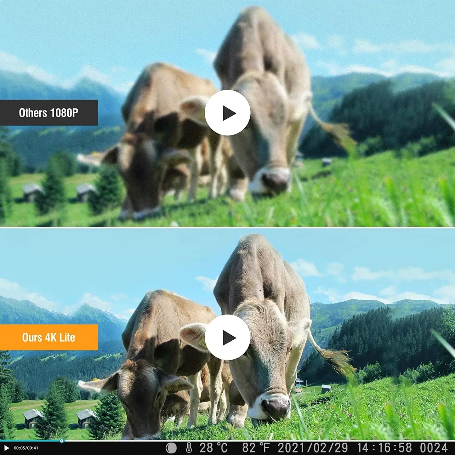 4G Wildcamera – Trail Camera – Jachtcamera – Natuurcamera – Beveiligingscamera – 36 Megapixels Foto’s – Live Beelden via App - EU-stekker