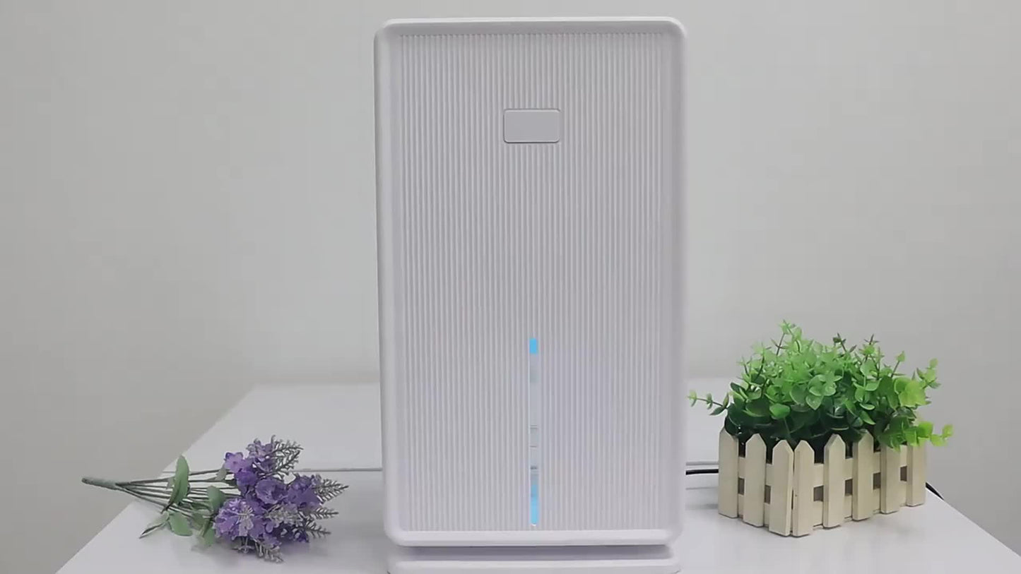 Luchtontvochtiger – Vochtvreter – Luchtontvochtiger Voor Kleine Ruimtes – Stil – 3 Liter Waterreservoir – Fluisterstil Met LED-verlichting