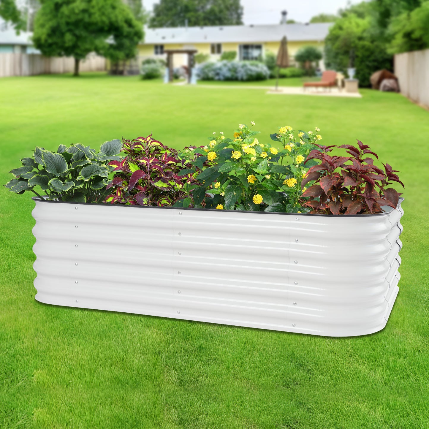 Verhoogd Tuinbed – Verhoogde Plantenbak – Moestuinbak – Kweekbak – Bloemenbak – Gegalvaniseerd Staal – 195x60x43 cm – Wit