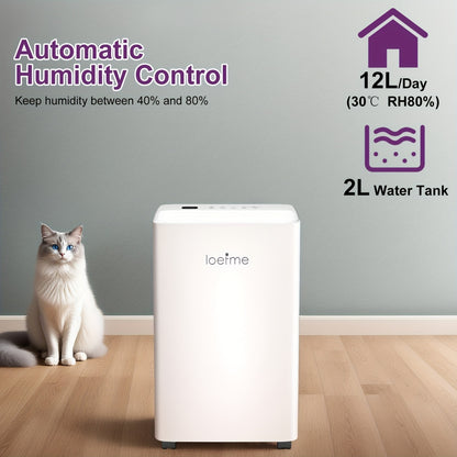 Luchtontvochtiger – Vochtvreter – Dehumidifier – Vochtopnemer – Wasdroger – 12L per dag – Digitaal Display – 24-uurs Timer – Continue Afvoer – Wit