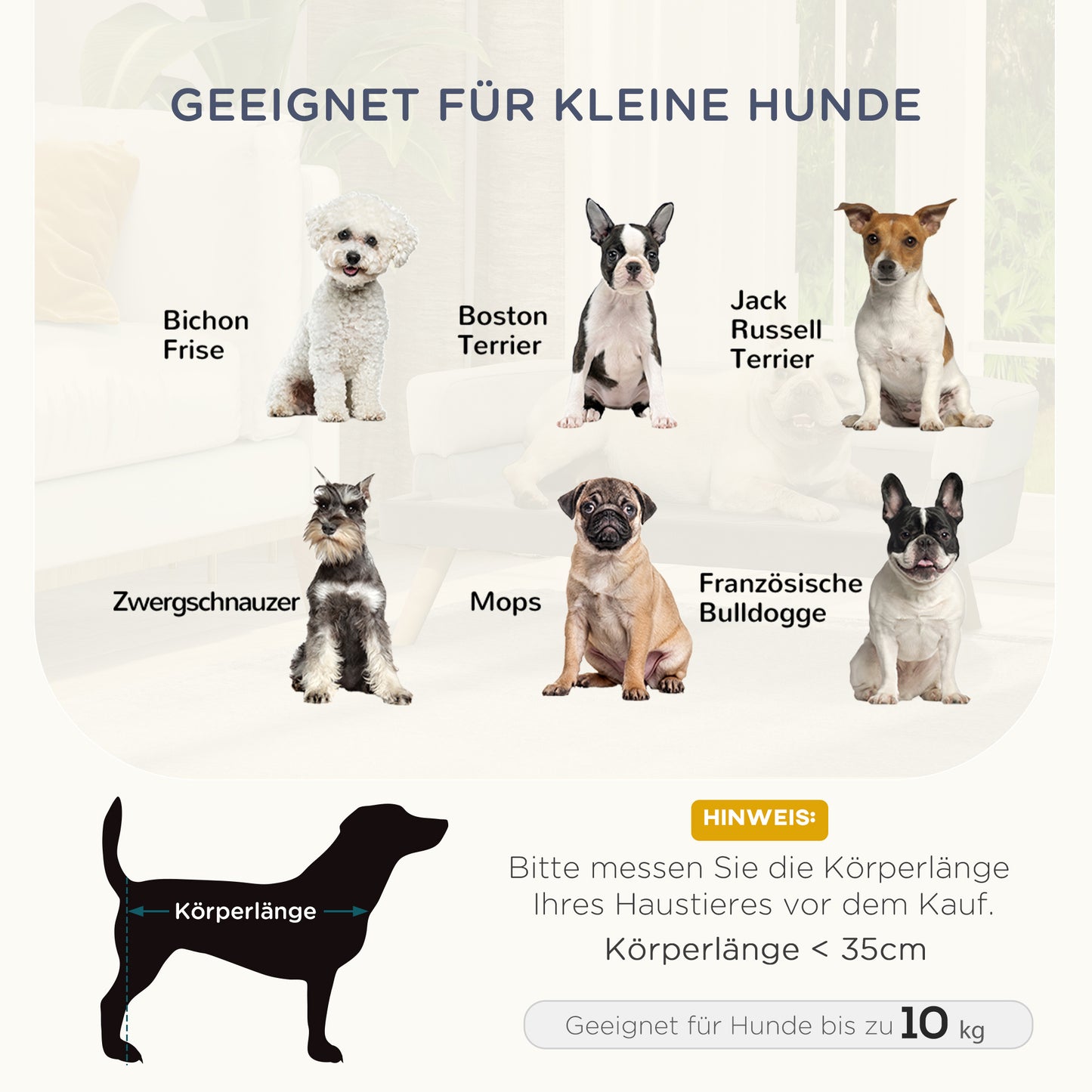 Hondenmand – Dierenbank – Hondenbed – Hondenkussen – Kattenmand – Dutch Velvet Bekleding – Verhoogd Met Berkenhouten Poten – Lichtgrijs – 86x55x33 cm – Comfortabele Foamvulling