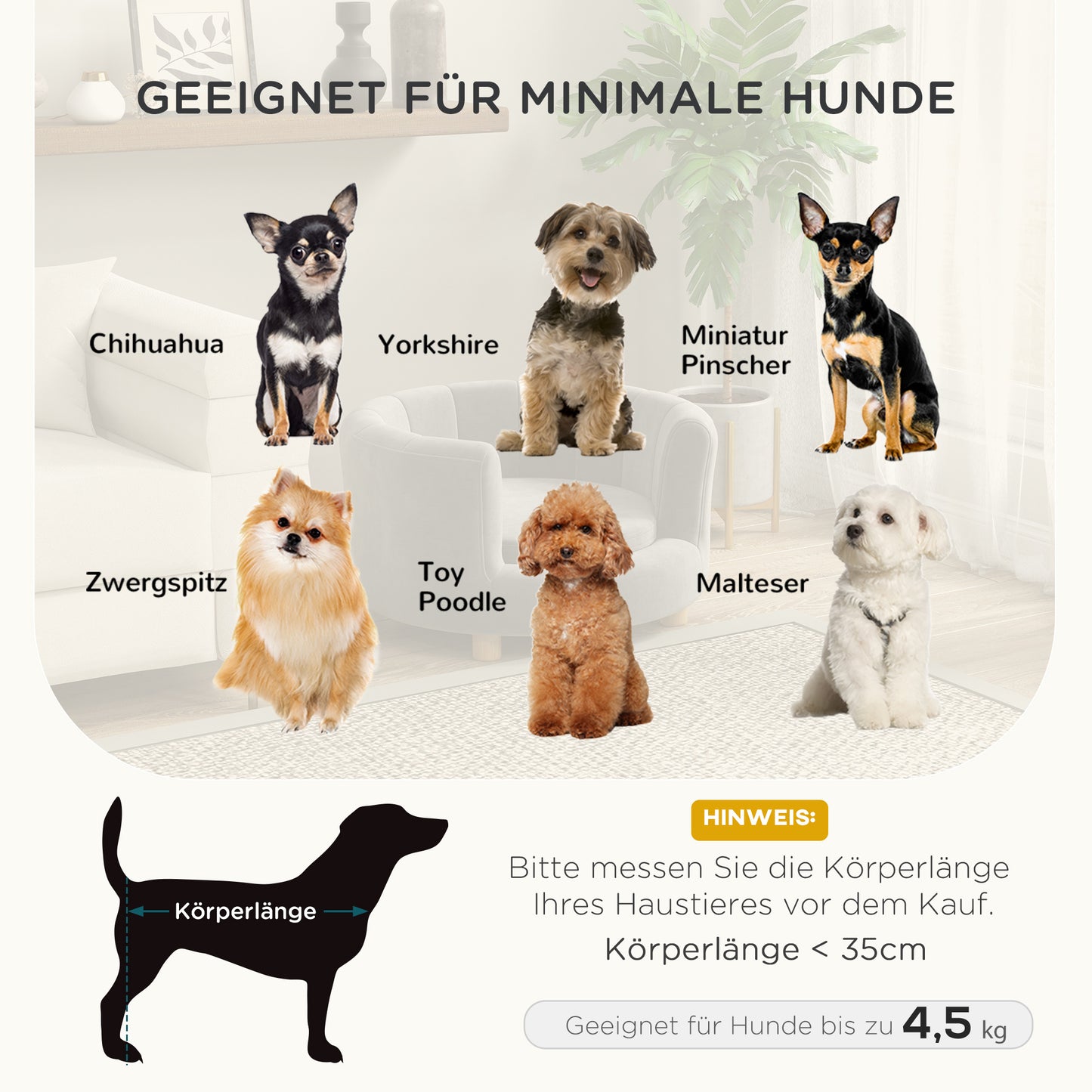 Huisdierenbank – Dierenbank – Huisdieren Sofa – Dierenkussen – Kleine Hond Bed – Grijs – Verhoogd Ontwerp – Afneembare Wasbare Kussenhoes