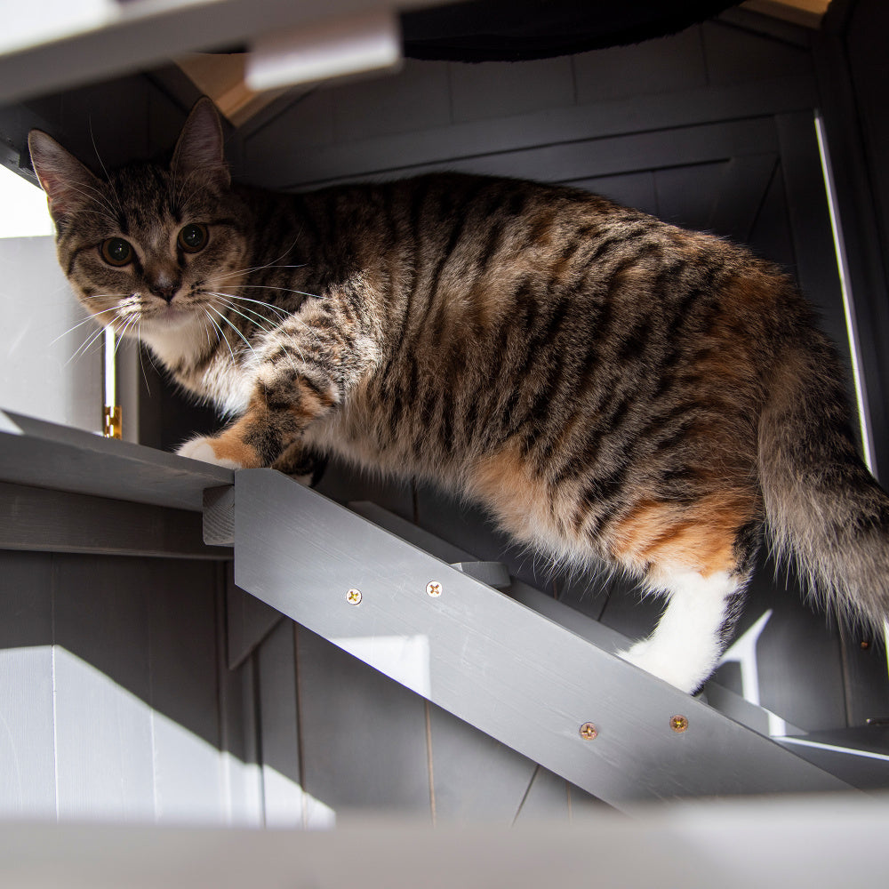 Kattenhuis – Kattenverblijf – Kattenkast – Kattenbed – Kattenhok – Multifunctioneel – Polyestervezel – Grijs – 59x55x109 cm – Eenvoudige Montage – Duurzaam & Ruim