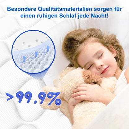 Federkern Mattress 100X200Cm, 22Cm Thick, Noise-Reducing Springs, Comfortable And Breathable.