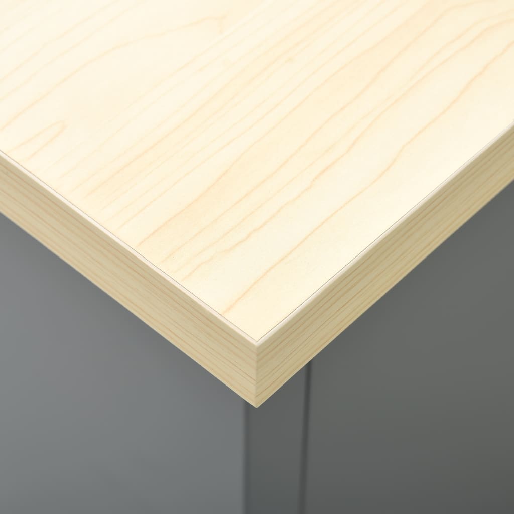 Werkbank – Werktafel – Werkstation – Gereedschapsbank – Werkbank Met Laden – Zwart – Draagvermogen 500 kg – 6 Laden Met Kogellagers