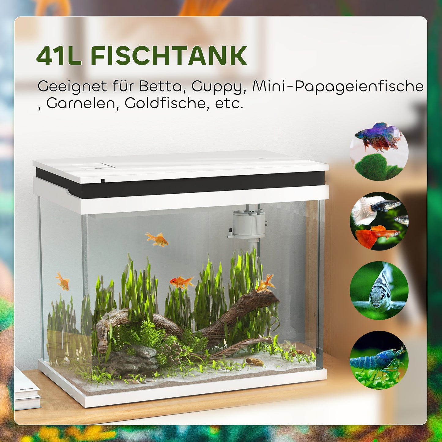 Aquarium – Visbak – Vistank – Aquariumset – Aquariumkast – 41 Liter Inhoud – Kleurveranderende LED Verlichting – Filter Systeem – Wit