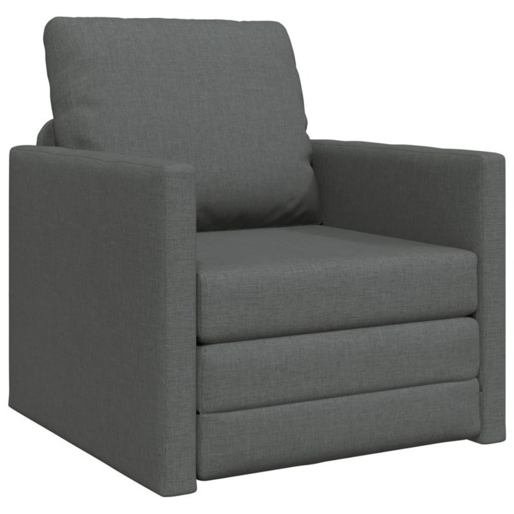 Slaapbank – Bedbank – Slaapbankje – Zitbank – 2-in-1 Meubel – Antraciet – Ruimtebesparend – Comfortabele Zachte Kussens