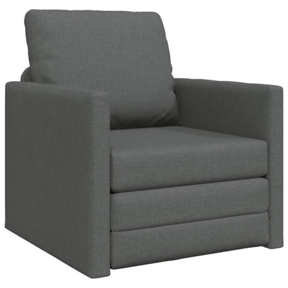 Slaapbank – Bedbank – Slaapbankje – Zitbank – 2-in-1 Meubel – Antraciet – Ruimtebesparend – Comfortabele Zachte Kussens