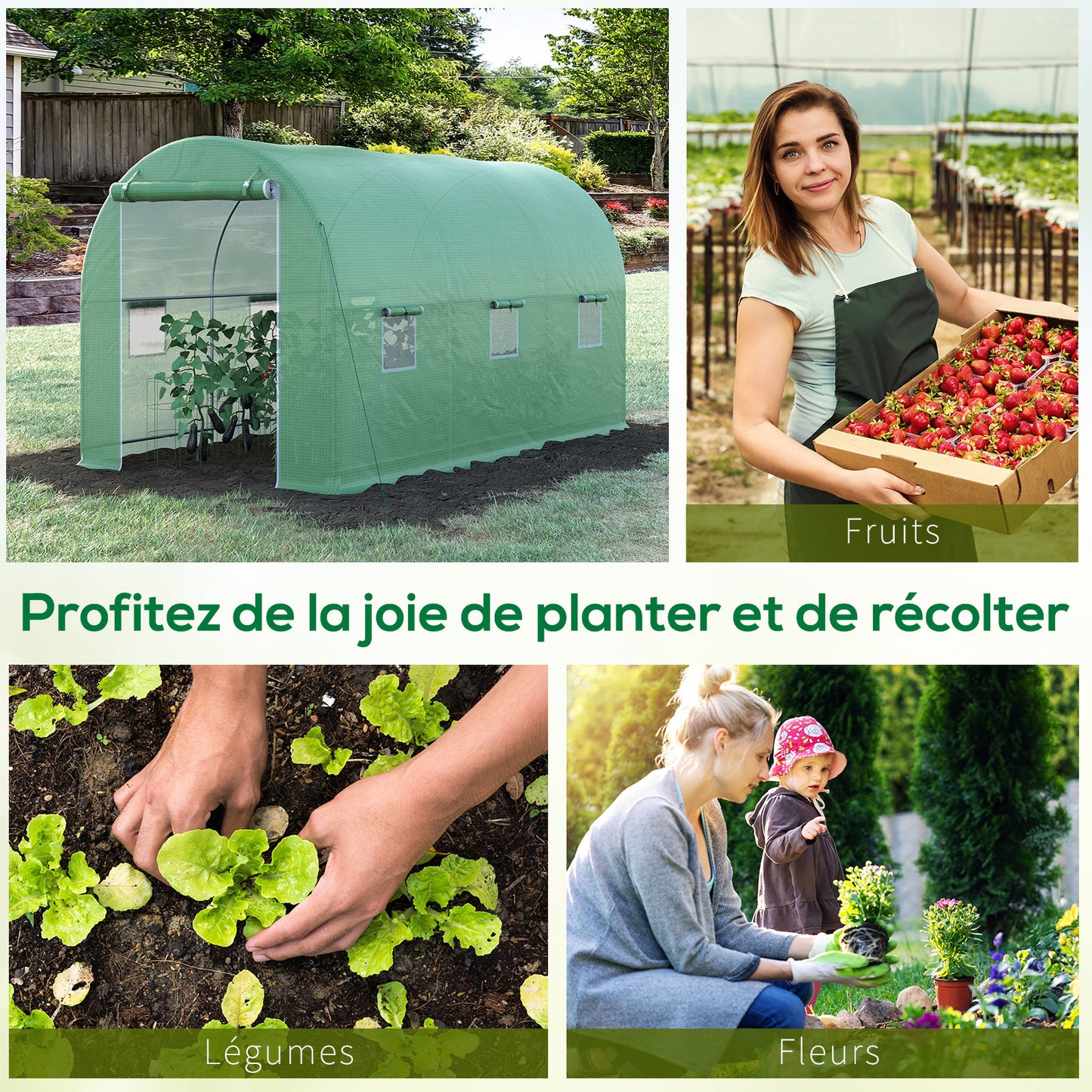 Tuinkas – Kasje – Groentekas – Plantenkas – Tunnelkas – Groen – 8 m² – Versterkt Stalen Frame – Insectengaas Ramen