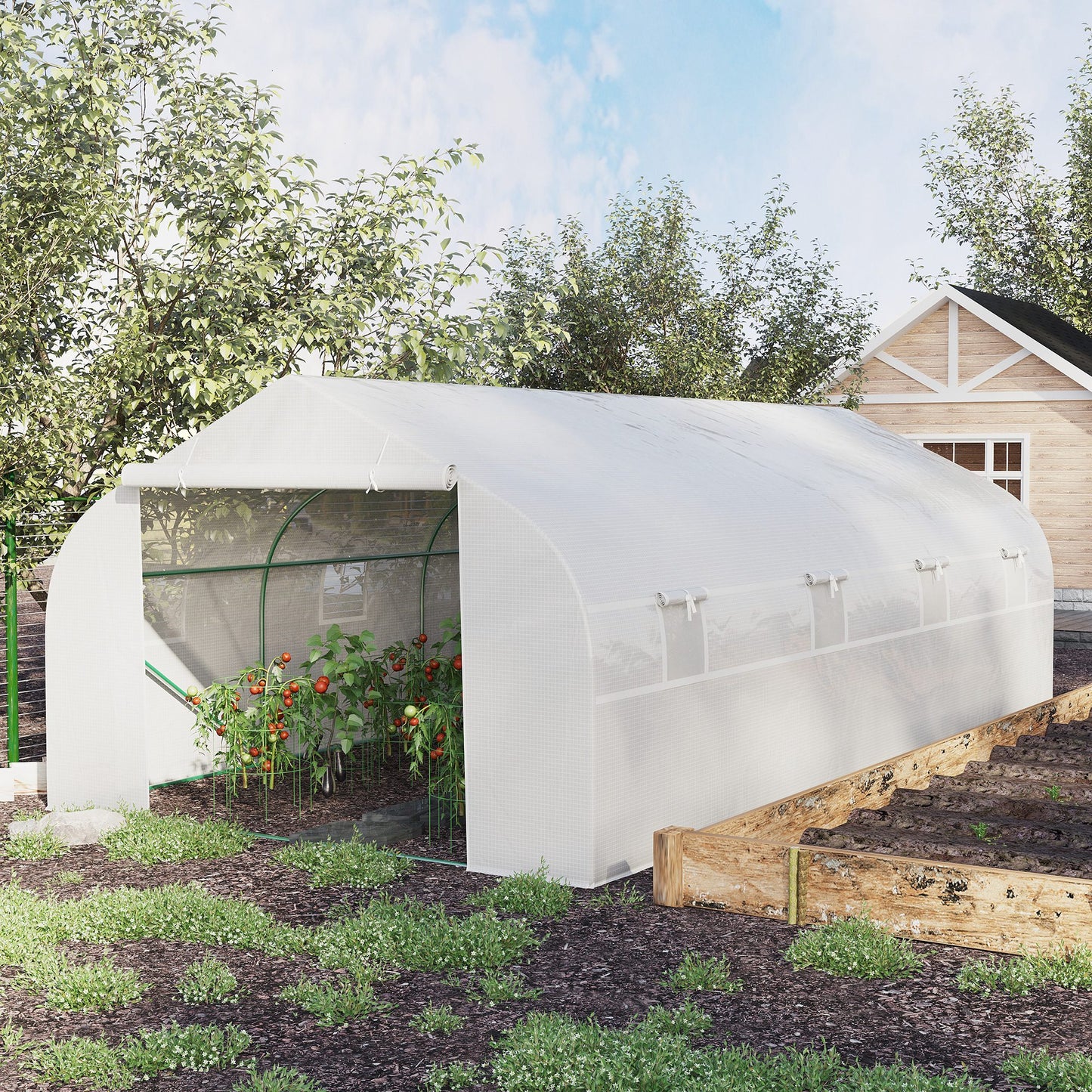 kasgebouw – tunnelkas – plantenkas – groentekas – serre – wit – 6 x 3 x 2 meter – stalen frame met PE-folie 140 g/m²