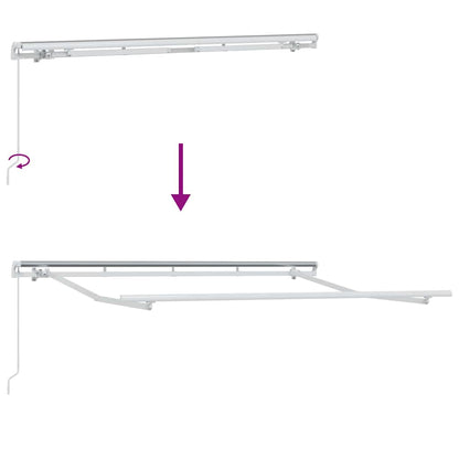 Zonnescherm – Uitschuifbare Zonwering – Balkon Zonwering – Terrasluifel – Buitenluifel – Waterafstotend Polyester – UV-Bescherming – Zwart