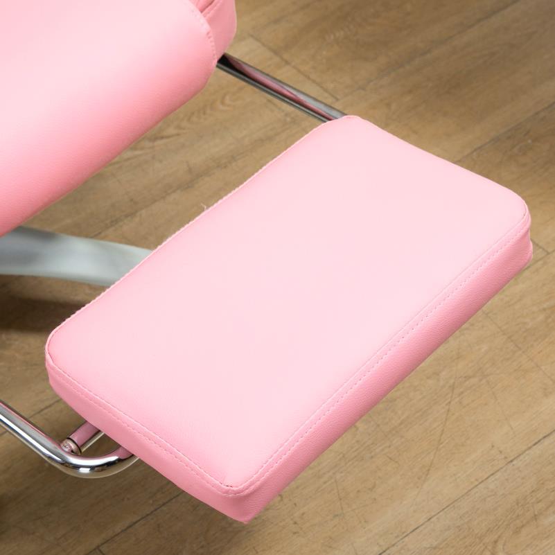 Bureaustoel – Werkstoel – Bureaustoel Ergonomisch – Bureaustoel Verstelbaar – Bureaustoel Met Wieltjes – Pink – Traagschuim Zitkussen – Lendensteun Metalen Frame