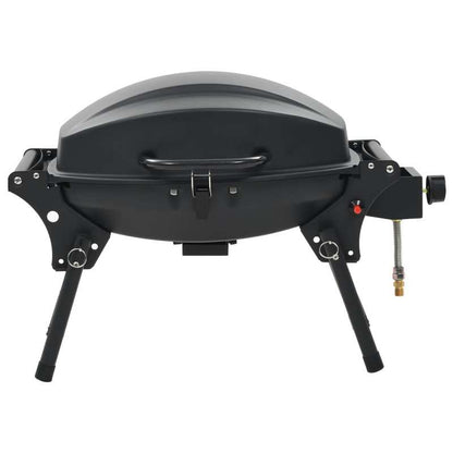 Barbecue And Portable Grill with Black Stove
