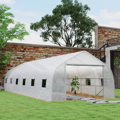 Kweekkas – Serre – Foliekas – Tuinkas – Moestuinkas – Grote Afmeting 24 m² – Stevig Gegalvaniseerd Stalen Frame