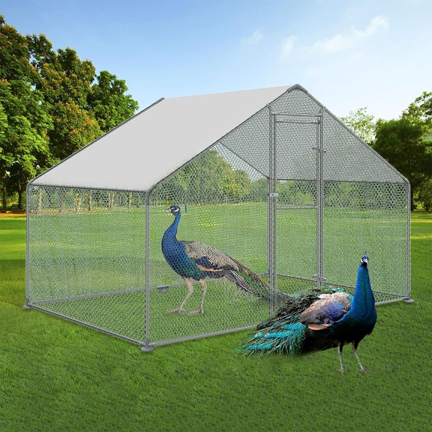 Buitenren Kip – Kippenren – Pluimvee Ren – Dierenren – Kippenhok – Metalen Constructie – Zonwerend Dak – Afmeting 3x8x2m