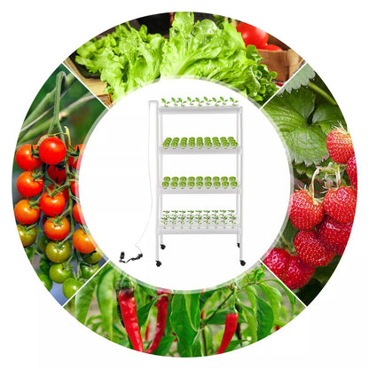 Hydroponicsysteem – Hydrocultuur Kweeksysteem – Hydrocultuur Rek – Hydroponic Kit – Indoor Tuin – 108 Plantplaatsen – Automatisch Watersysteem – Modern Wit Multi-etalage Ontwerp