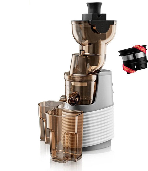Slowjuicer - Slow Juicer - Persmachine - Fruitpers - Sinaasappelpers - Appelsienpers - Drukmachine - Persmachine Vruchtensap - Pers Machine - Press Machine - IJsmachine - Keuken Apparaat - Met zeef - 1000ml - 60RPM - 250W