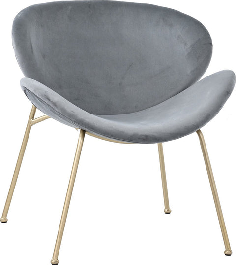Eetkamerstoel Set van 2 – Elegante Fluwelen Stoelen - met Gouden Metalen Poten – Luxe en Comfortabel Design - voor Woonkamer - Eetkamer en Lounge – Grijs