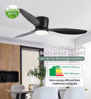 Plafondventilator met Verlichting - 106cm - Afstandsbediening - Plafondlamp - Zwart - Slaapkamer - LED - Timer - 6 Standen - PlafondventilatorProduct Beschrijving Evolar EVO-CF52MB12 Plafondventilator - Zwart - 132cm - 6 Standen - Afstandsbediening