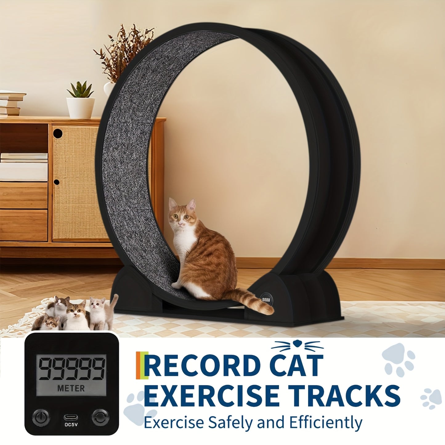 Kattenrad – Kattenspeelwiel – Looprad Kat – Binnen Speelwiel – Huisdier Looprad – Extra Groot 114,3 cm – Stil Loopmechanisme – Ingebouwde Pedometer – Duurzaam ABS Materiaal