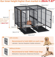 Zware Duo Hondenbench - Robuust en Ruim - Verdeler / Scheider Uitneembaar - Dubbele Deur - Tot 150kg - 100x100x130 cm