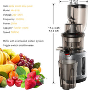 Slowjuicer - Sapcentrifuge - Cold Press - Groente en Fruit Blender - Ijsmaker - Krachtige Motor - Koude Pers - Groot Formaat - Met Extra Filter Meegeleverd - 25x25x44cm - 40-65Rpm - 200W Motor - Grijs
