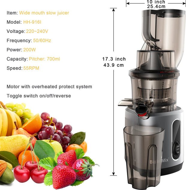 Slowjuicer - Sapcentrifuge - Cold Press - Groente en Fruit Blender - Ijsmaker - Krachtige Motor - Koude Pers - Groot Formaat - Met Extra Filter Meegeleverd - 25x25x44cm - 40-65Rpm - 200W Motor - Grijs