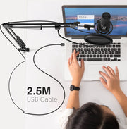 Microfoon Arm Met Microfoon - Gaming Mic - Mic Standaard Met Popfilter - Mic Houder - Voor PC