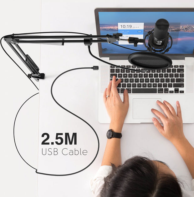 Microfoon Arm Met Microfoon - Gaming Mic - Mic Standaard Met Popfilter - Mic Houder - Voor PC