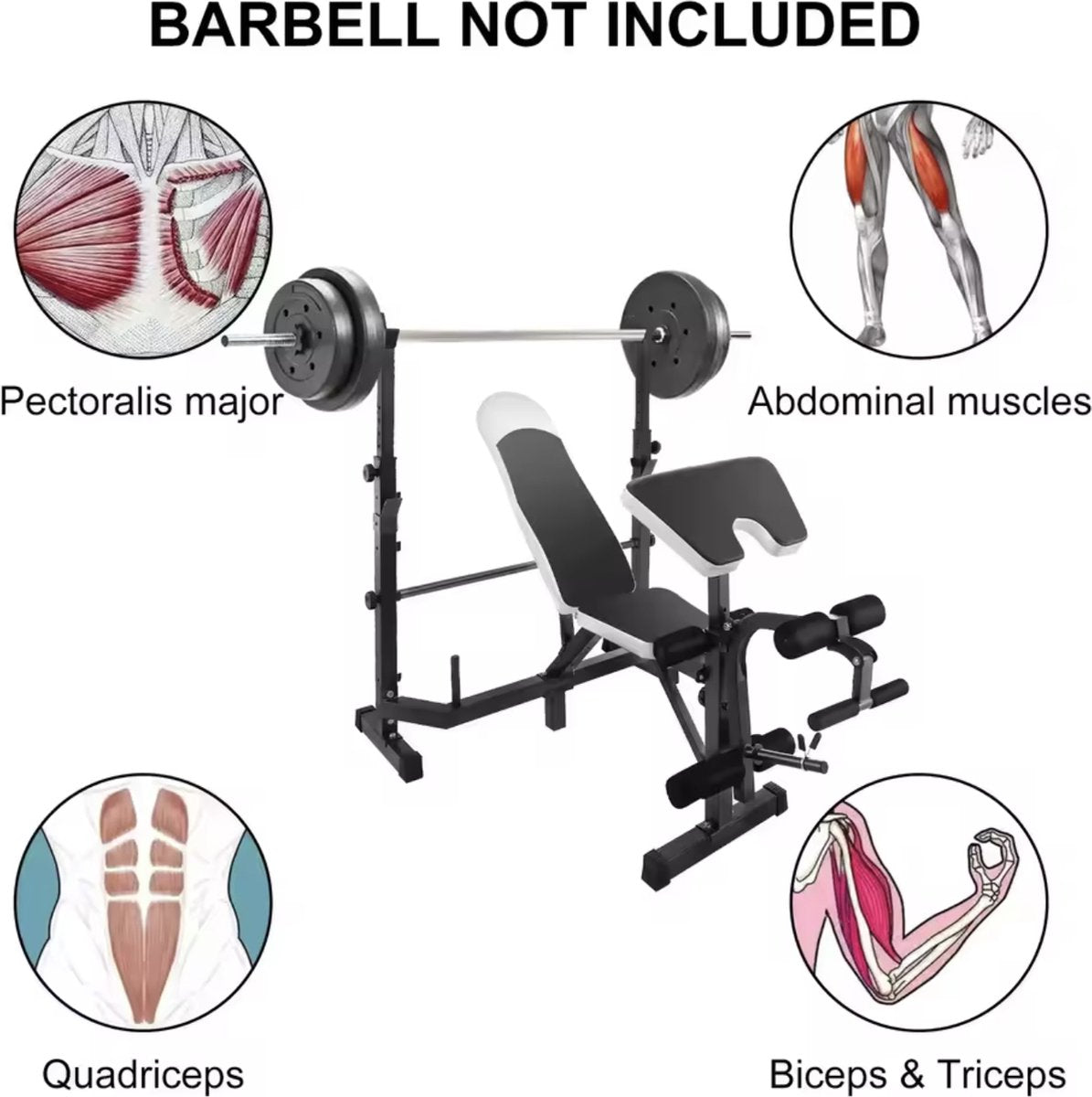 Halterbank - Trainingsbank - Fitness bank - Multifunctioneel - Bench press - Leg curl - Biceps