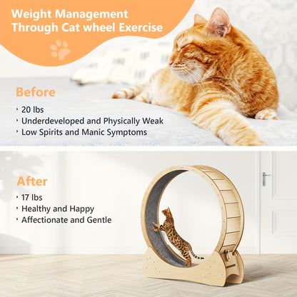 cattrainingsrad – katten loopwiel – looprad kat – kattenwiel – cat wheel – XL formaat – Natuurlijk Hout – Veilig & Comfortabel