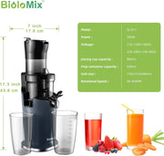 Slowjuicer - Sapcentrifuge voor Fruit en Groente - 500 ml - 200W - Koude Pers Juicer - Zwart