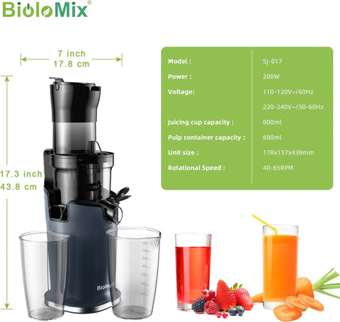 Slowjuicer - Sapcentrifuge voor Fruit en Groente - 500 ml - 200W - Koude Pers Juicer - Zwart