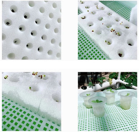 Kweekbak - Hydrocultuur Set - Kweektafel op Poten - Duurzaam - Licht Gewicht - Hydroponic Systeem - 2 Lagen - 72 Gaten - 98x55x72 CM - Wit